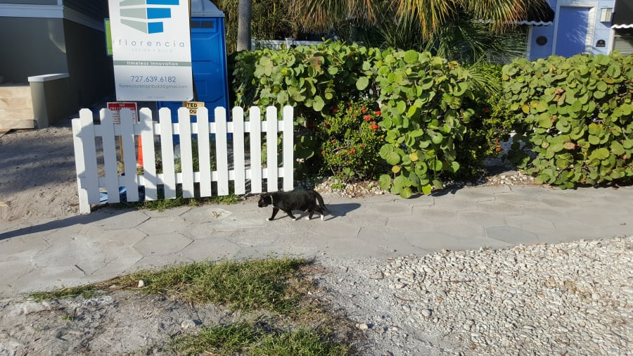 Gulf Beaches Historical Museum – photo 3